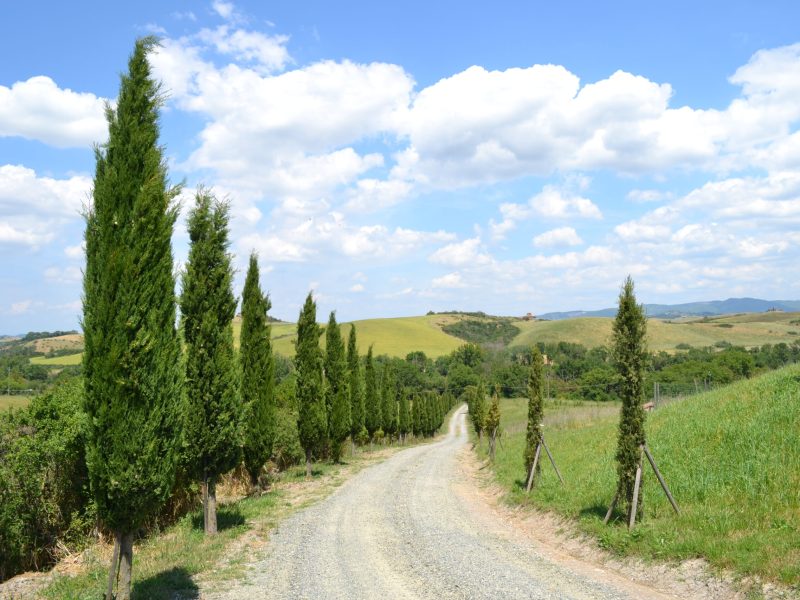 Toscane